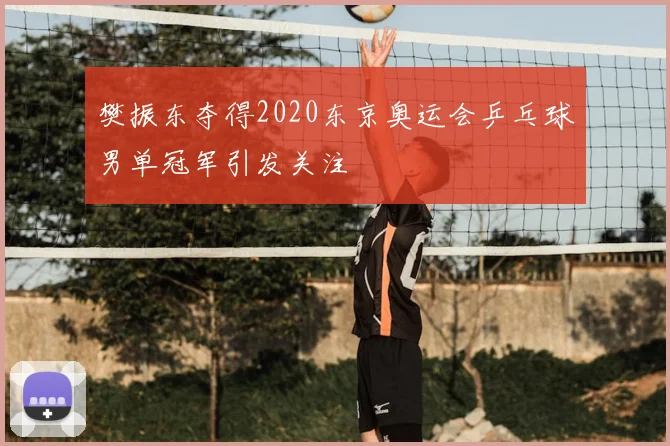 樊振东夺得2020东京奥运会乒乓球男单冠军引发关注