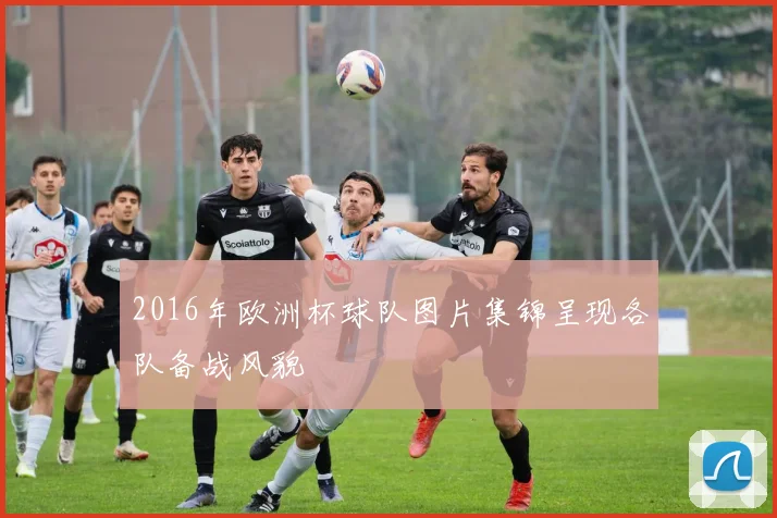 2016年欧洲杯球队图片集锦呈现各队备战风貌