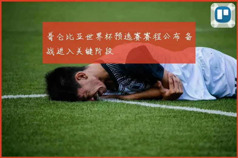 哥仑比亚世界杯预选赛赛程公布 备战进入关键阶段