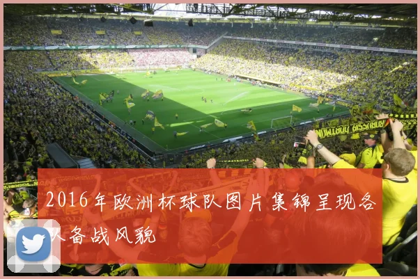 2016年欧洲杯球队图片集锦呈现各队备战风貌