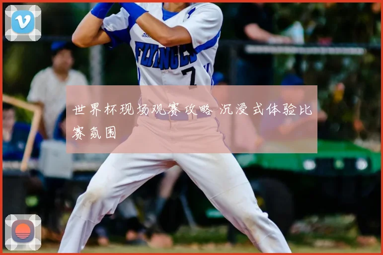 世界杯现场观赛攻略 沉浸式体验比赛氛围