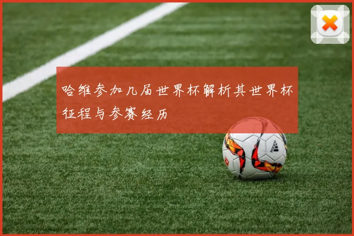 哈维参加几届世界杯解析其世界杯征程与参赛经历
