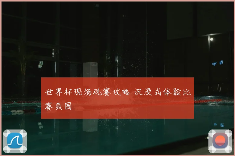 世界杯现场观赛攻略 沉浸式体验比赛氛围